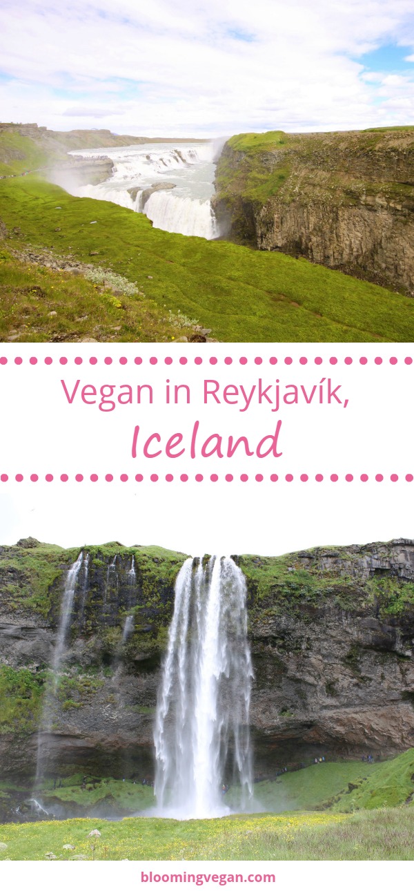 Vegan in Reykjavík, Iceland | Blooming Vegan